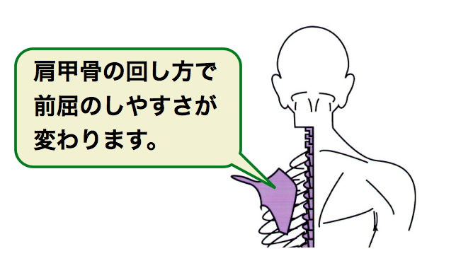 前屈でわかる肩甲骨・股関節のクセ