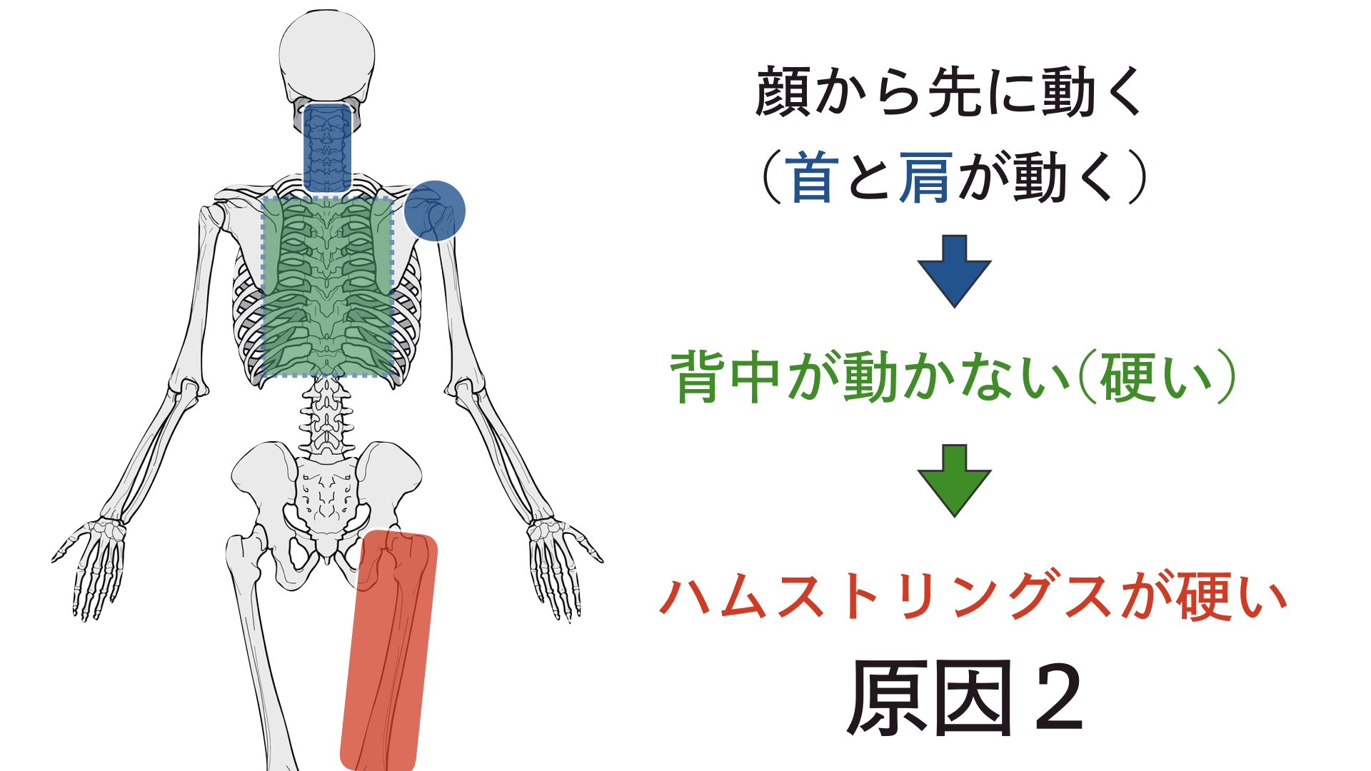 硬くなったハムストリングの筋肉を緩めるその他の方法