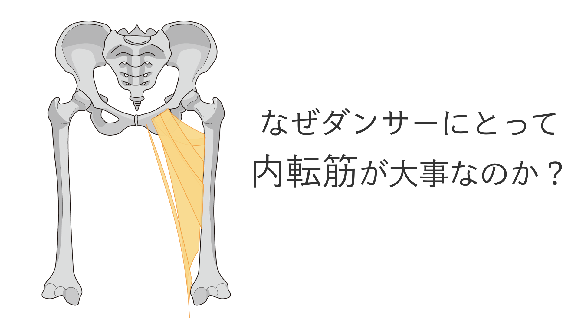 ダンサーにとって内転筋が大事な理由とターンアウトするときの役割