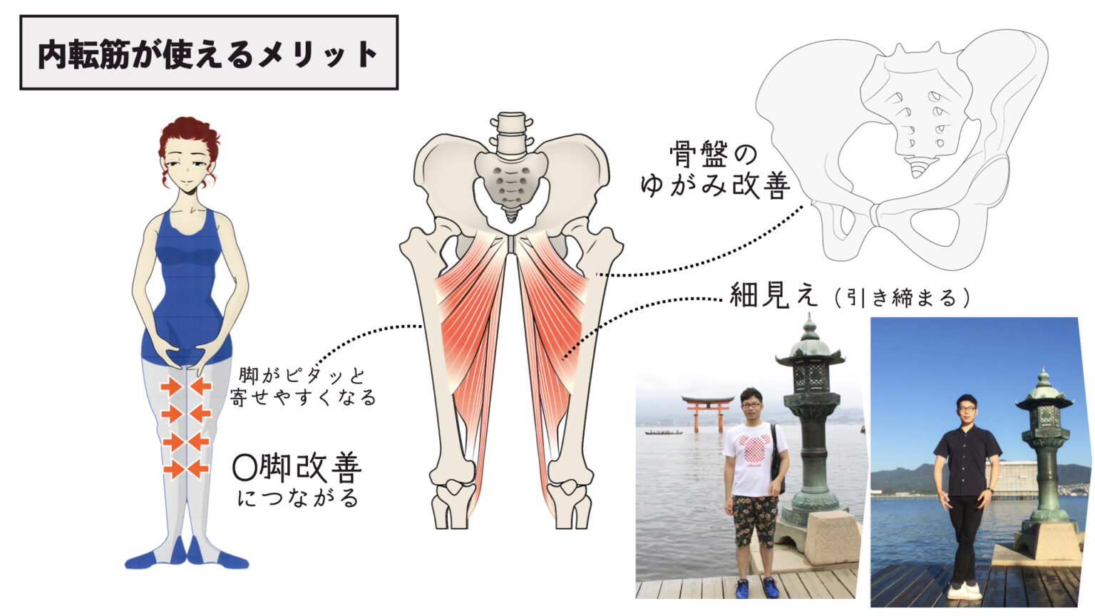 【内転筋弱い】4つの原因と内もも使いやすくする5つの要素 | バレエダンサーさんの治療院