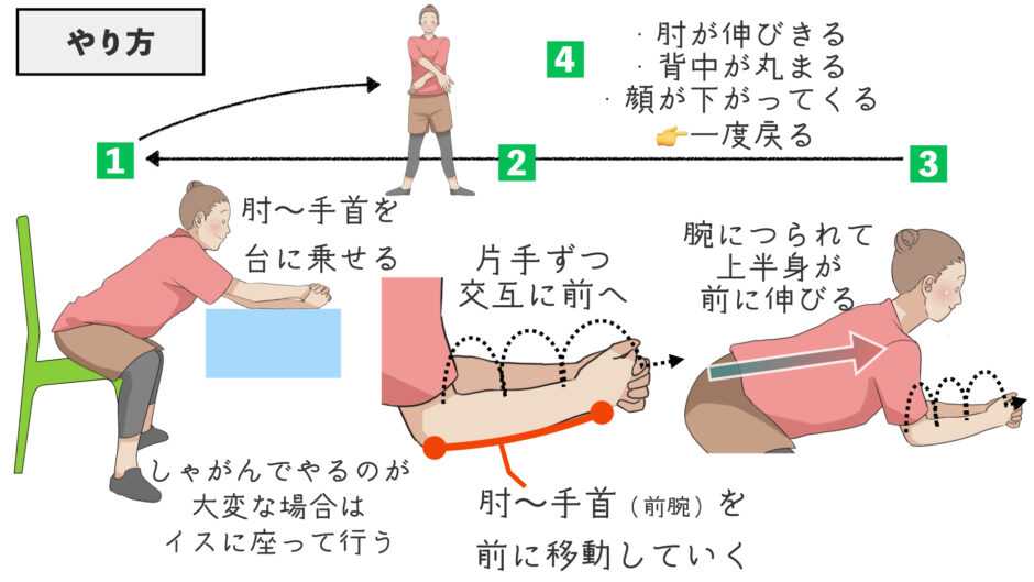 【反り腰などの姿勢改善に】引き上げしやすくするポイントと上半身を伸ばす方法 | バレエダンサーさんの治療院