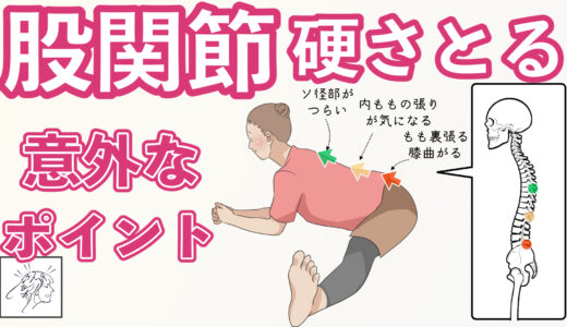【股関節硬い】意外な原因と硬さとる２つのストレッチ ｜背骨の柔軟性で開脚前屈しやすくする