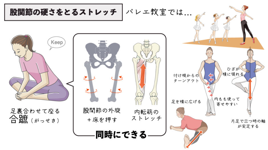 内転筋ストレッチして股関節の硬さをとる方法｜合蹠ストレッチのコツ | バレエダンサーさんの治療院