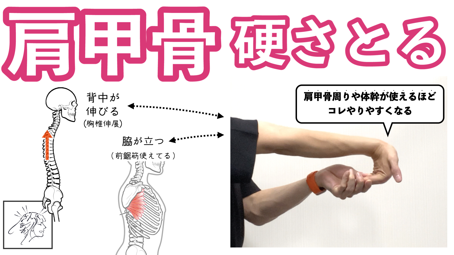 肩甲骨や背中の硬さをとる意外な方法｜腕と体幹を連動させて猫背