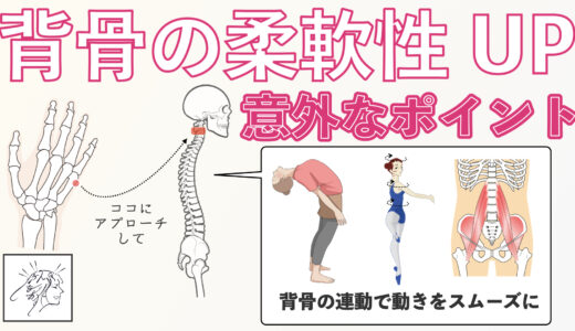 背骨の柔軟性をUPする意外なポイント｜ツボを活かして背中の硬さ、姿勢改善、首こり、股関節に硬さ改善