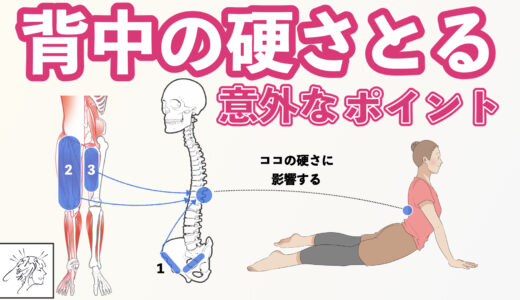 背中の下側が硬い意外な原因と整え方｜腸腰筋リリースでソ径部、前もも、内ももをストレッチ