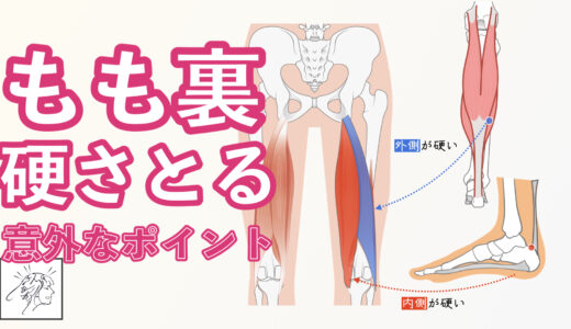 【もも裏・ひざ裏硬い】ハムストリングスの硬さをとる意外なポイントとセルフ整体