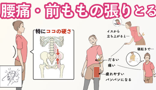 【腰痛・前ももの張り】共通する原因と対策|反り腰・腸腰筋リリース|イスから立つとき痛い・寝起きで腰がしんどい
