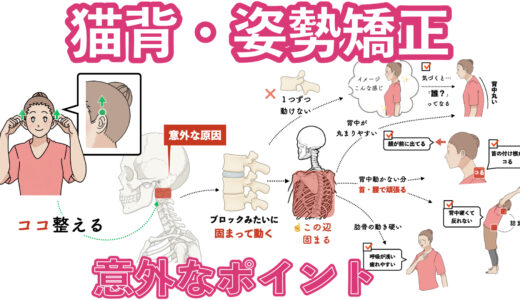 【猫背・首こり・姿勢改善】背すじを伸ばしやすくする意外なポイント|耳を使ったセルフ整体