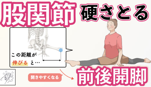 前後開脚が開きにくい原因とストレッチなしで開きやすく整える方法|股関節硬い人向け